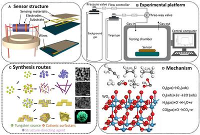 Application of WO3 Hierarchical Structures for the Detection of Dissolved Gases in Transformer Oil: A Mini Review